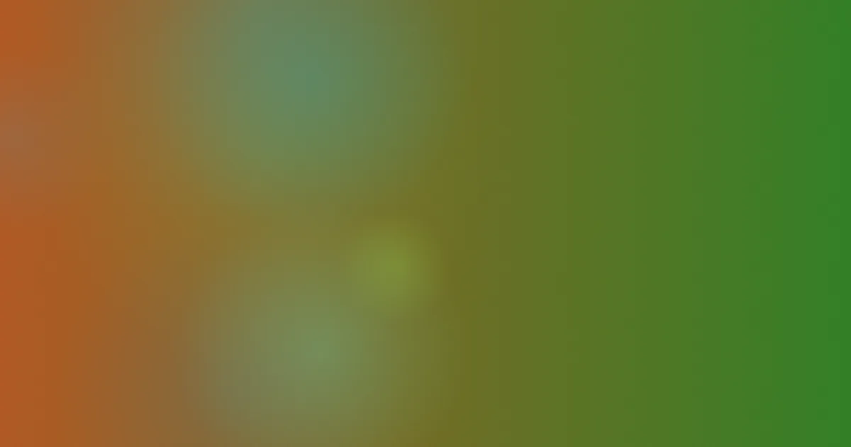 坦克动画是什么？看前先懂